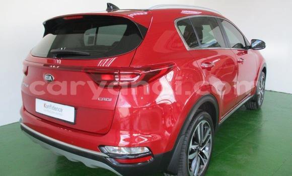 Nunua Ilio tumika Kia Sportage Nyekundu Gari ndani ya Katete nchini Mashariki Nunua Ilio tumika Kia Sportage Nyekundu Gari ndani ya Katete nchini Mashariki