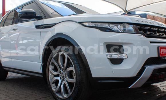 Buy Used Range Rover Evoque White Car in Lusaka in Zambia Buy Used Range Rover Evoque White Car in Lusaka in Zambia