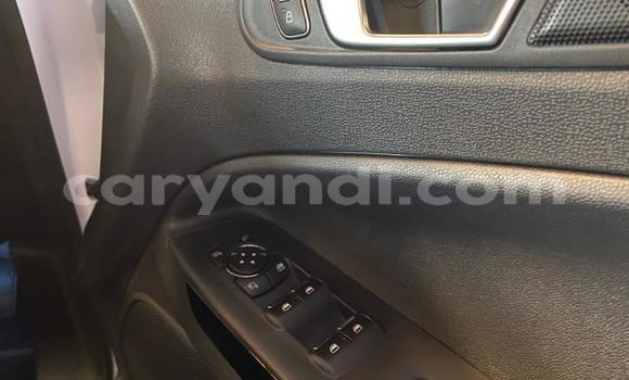 Buy Used Ford EcoSport White Car in Chinsali in Northern Buy Used Ford EcoSport White Car in Chinsali in Northern