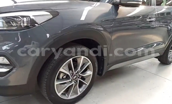Buy Used Hyundai Tucson Blue Car in Chingola in Zambia Buy Used Hyundai Tucson Blue Car in Chingola in Zambia