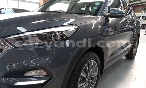 Buy Used Hyundai Tucson Blue Car in Chingola in Zambia Buy Used Hyundai Tucson Blue Car in Chingola in Zambia