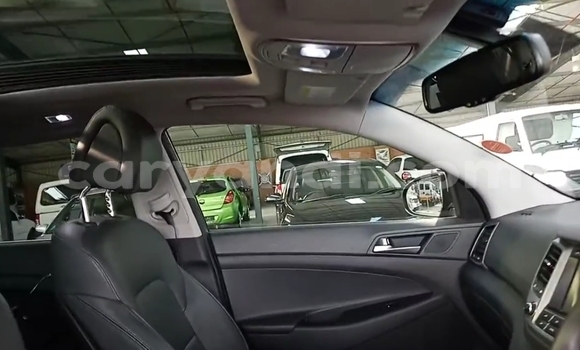 Buy Used Hyundai Tucson Blue Car in Chingola in Zambia Buy Used Hyundai Tucson Blue Car in Chingola in Zambia