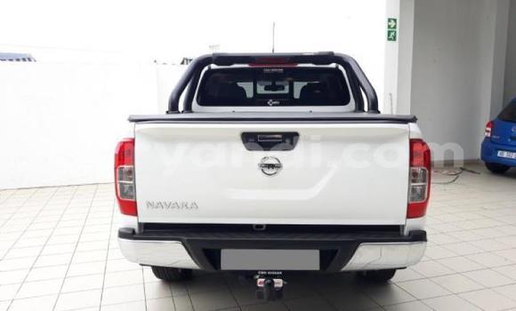 Tenga Tsaru Nissan Navara Chena Mota in Lusaka in Zambia Tenga Tsaru Nissan Navara Chena Mota in Lusaka in Zambia