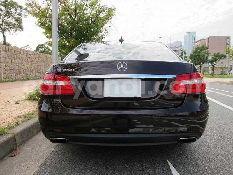 Big with watermark whatsapp image 2019 01 07 at 3.20.08 pm 3 