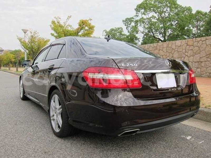 Big with watermark whatsapp image 2019 01 07 at 3.20.08 pm 4 