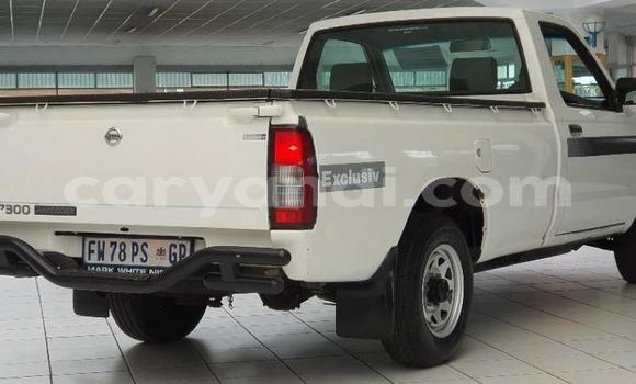 Acheter Occasion Voiture Nissan NP 300 Blanc à Lusaka, Zambie Acheter Occasion Voiture Nissan NP 300 Blanc à Lusaka, Zambie