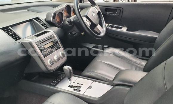 Tenga Tsaru Nissan Murano Chena Mota in Lusaka in Zambia Tenga Tsaru Nissan Murano Chena Mota in Lusaka in Zambia