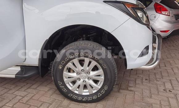 Buy Used Mazda BT-50 White Car in Livingstone in Zambia Buy Used Mazda BT-50 White Car in Livingstone in Zambia