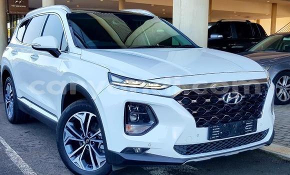 Buy Used Hyundai Santa Fe White Car in Kansanshi in North-Western