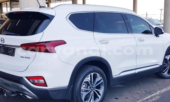 Buy Used Hyundai Santa Fe White Car in Kansanshi in North-Western Buy Used Hyundai Santa Fe White Car in Kansanshi in North-Western