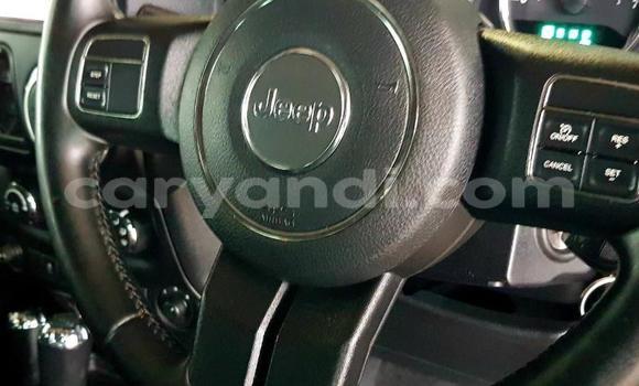 Tenga Tsaru Jeep Wrangler Nhema Mota in Lusaka in Zambia Tenga Tsaru Jeep Wrangler Nhema Mota in Lusaka in Zambia