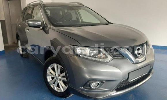 Buy Used Nissan X–Trail Other Car in Ndola in Zambia Buy Used Nissan X–Trail Other Car in Ndola in Zambia