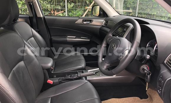 Tenga Tsaru Subaru Forester Sirivha Mota in Lusaka in Zambia Tenga Tsaru Subaru Forester Sirivha Mota in Lusaka in Zambia