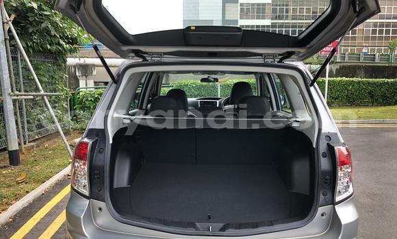 Tenga Tsaru Subaru Forester Sirivha Mota in Lusaka in Zambia Tenga Tsaru Subaru Forester Sirivha Mota in Lusaka in Zambia