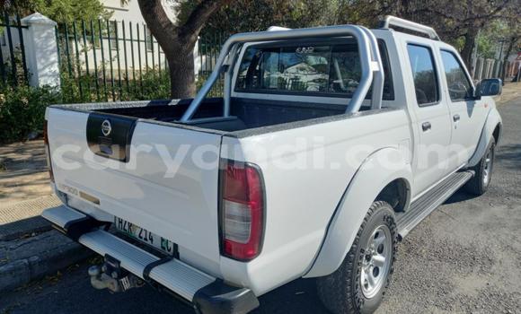 Tenga Tsaru Nissan NP 300 Chena Mota in Kabwe in Zambia Tenga Tsaru Nissan NP 300 Chena Mota in Kabwe in Zambia