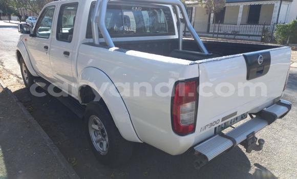 Tenga Tsaru Nissan NP 300 Chena Mota in Kabwe in Zambia Tenga Tsaru Nissan NP 300 Chena Mota in Kabwe in Zambia