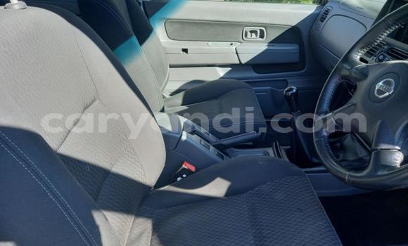 Tenga Tsaru Nissan NP 300 Chena Mota in Kabwe in Zambia Tenga Tsaru Nissan NP 300 Chena Mota in Kabwe in Zambia