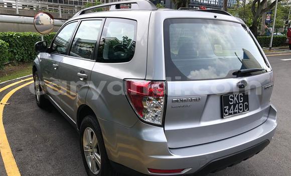 Tenga Tsaru Subaru Forester Sirivha Mota in Lusaka in Zambia Tenga Tsaru Subaru Forester Sirivha Mota in Lusaka in Zambia