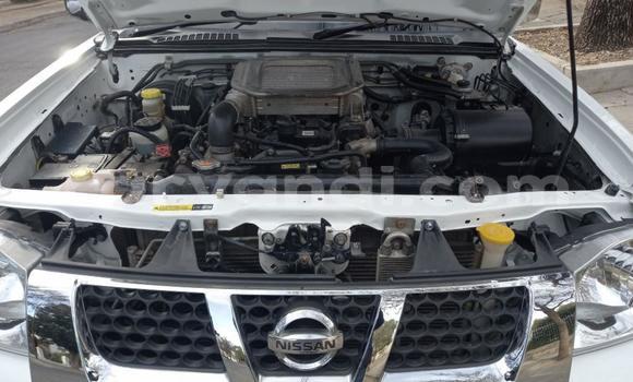 Tenga Tsaru Nissan NP 300 Chena Mota in Kabwe in Zambia Tenga Tsaru Nissan NP 300 Chena Mota in Kabwe in Zambia