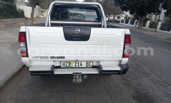 Tenga Tsaru Nissan NP 300 Chena Mota in Kabwe in Zambia Tenga Tsaru Nissan NP 300 Chena Mota in Kabwe in Zambia