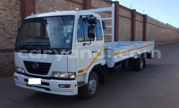 Buy Used Nissan UD White Truck in Chilanga in Lusaka