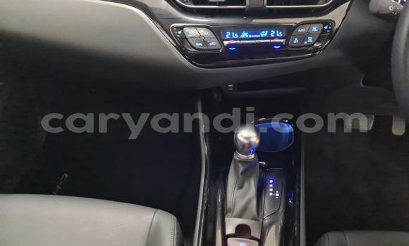 Buy Used Toyota C-HR Red Car in Kalulushi in Copperbelt Buy Used Toyota C-HR Red Car in Kalulushi in Copperbelt