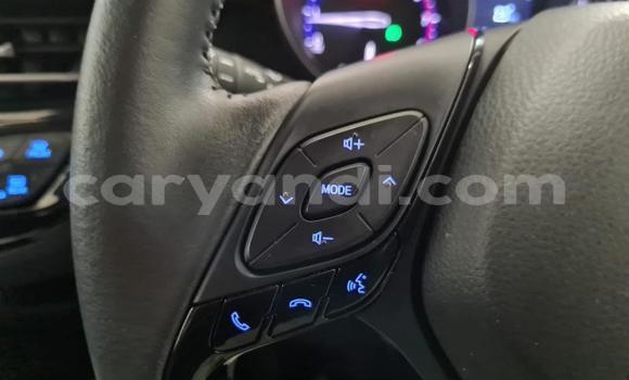 Buy Used Toyota C-HR Red Car in Kalulushi in Copperbelt Buy Used Toyota C-HR Red Car in Kalulushi in Copperbelt