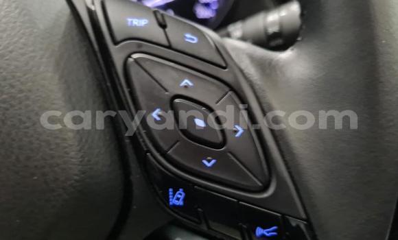 Buy Used Toyota C-HR Red Car in Kalulushi in Copperbelt Buy Used Toyota C-HR Red Car in Kalulushi in Copperbelt