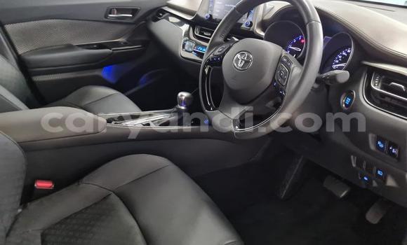 Buy Used Toyota C-HR Red Car in Kalulushi in Copperbelt Buy Used Toyota C-HR Red Car in Kalulushi in Copperbelt