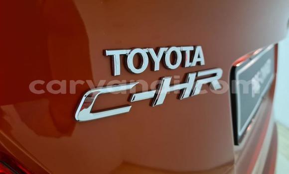 Buy Used Toyota C-HR Red Car in Kalulushi in Copperbelt Buy Used Toyota C-HR Red Car in Kalulushi in Copperbelt