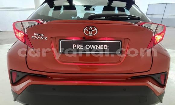 Buy Used Toyota C-HR Red Car in Kalulushi in Copperbelt Buy Used Toyota C-HR Red Car in Kalulushi in Copperbelt