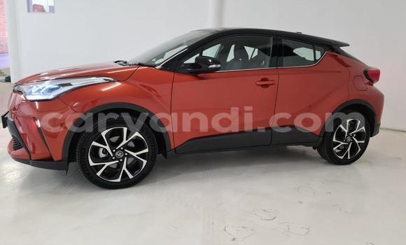 Buy Used Toyota C-HR Red Car in Kalulushi in Copperbelt Buy Used Toyota C-HR Red Car in Kalulushi in Copperbelt