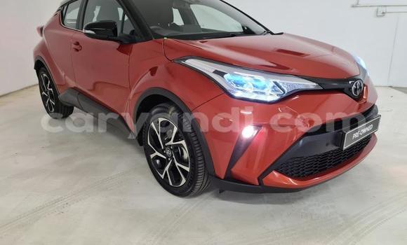 Buy Used Toyota C-HR Red Car in Kalulushi in Copperbelt Buy Used Toyota C-HR Red Car in Kalulushi in Copperbelt