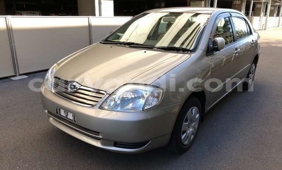Acheter Import Voiture Toyota Corolla Beige à Lusaka, Zambie Acheter Import Voiture Toyota Corolla Beige à Lusaka, Zambie