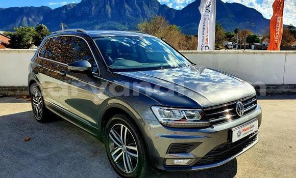 Buy Used Volkswagen Tiguan Silver Car in Chingola in Zambia Buy Used Volkswagen Tiguan Silver Car in Chingola in Zambia