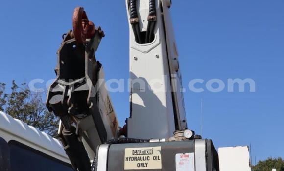 Acheter Occasion Utilitaire Isuzu FTR 850 Blanc à Katete, Est Acheter Occasion Utilitaire Isuzu FTR 850 Blanc à Katete, Est