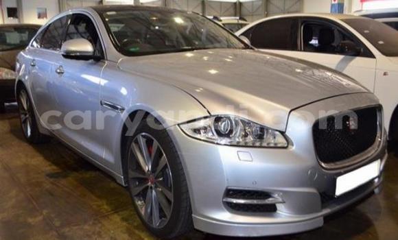 Acheter Occasion Voiture Jaguar XJ Gris à Sesheke, Occidental Acheter Occasion Voiture Jaguar XJ Gris à Sesheke, Occidental