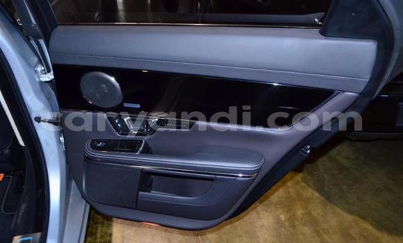 Acheter Occasion Voiture Jaguar XJ Gris à Sesheke, Occidental Acheter Occasion Voiture Jaguar XJ Gris à Sesheke, Occidental