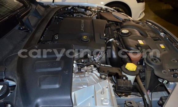 Acheter Occasion Voiture Jaguar XJ Gris à Sesheke, Occidental Acheter Occasion Voiture Jaguar XJ Gris à Sesheke, Occidental
