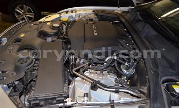 Acheter Occasion Voiture Jaguar XJ Gris à Sesheke, Occidental Acheter Occasion Voiture Jaguar XJ Gris à Sesheke, Occidental