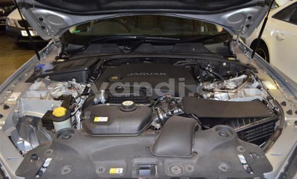 Acheter Occasion Voiture Jaguar XJ Gris à Sesheke, Occidental Acheter Occasion Voiture Jaguar XJ Gris à Sesheke, Occidental
