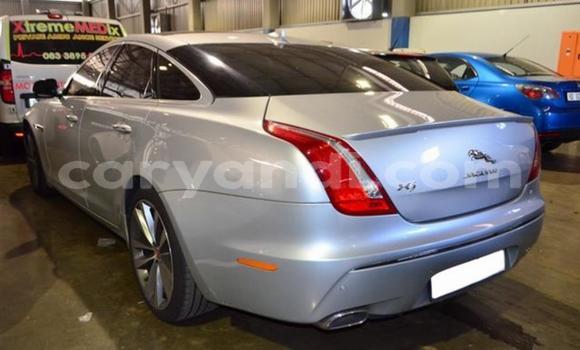 Acheter Occasion Voiture Jaguar XJ Gris à Sesheke, Occidental Acheter Occasion Voiture Jaguar XJ Gris à Sesheke, Occidental