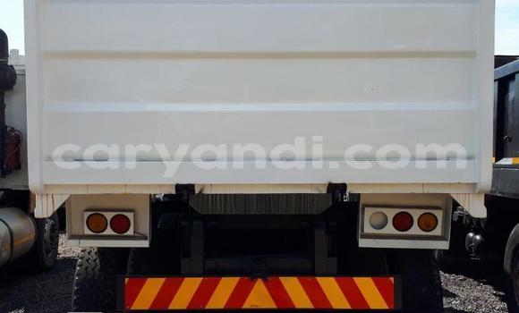 Acheter Occasion Utilitaire Volvo FL Blanc à Chingola, Zambie Acheter Occasion Utilitaire Volvo FL Blanc à Chingola, Zambie