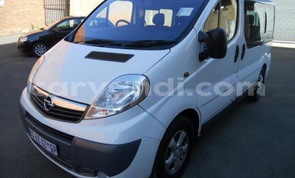 Tenga Tsaru Opel Vivaro Chena Mota in Lusaka in Zambia