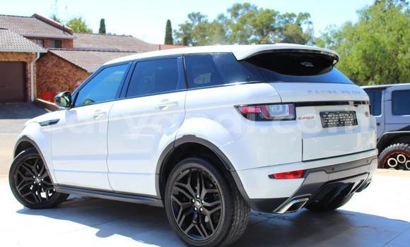 Buy Used Range Rover Evoque White Car in Chipata in Zambia Buy Used Range Rover Evoque White Car in Chipata in Zambia