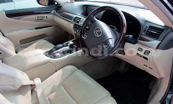 Buy Used Lexus LS Black Car in Chipata in Zambia Buy Used Lexus LS Black Car in Chipata in Zambia