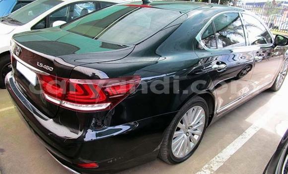 Buy Used Lexus LS Black Car in Chipata in Zambia Buy Used Lexus LS Black Car in Chipata in Zambia