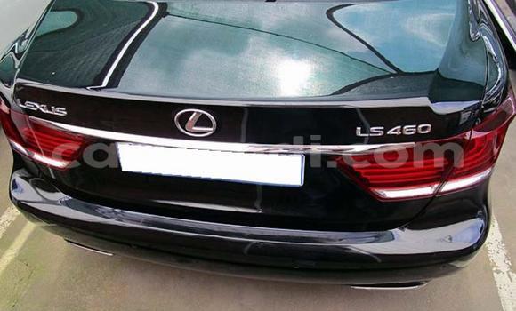 Buy Used Lexus LS Black Car in Chipata in Zambia Buy Used Lexus LS Black Car in Chipata in Zambia