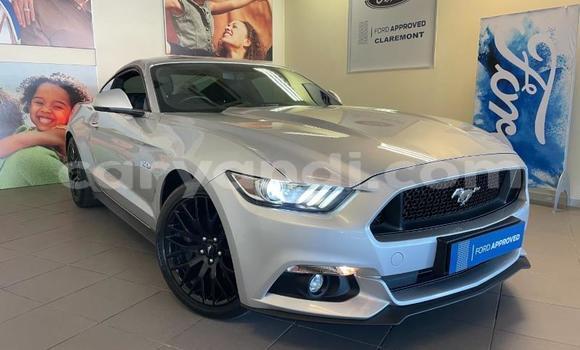 Buy Used Ford Mustang Silver Car in Chipata in Zambia Buy Used Ford Mustang Silver Car in Chipata in Zambia