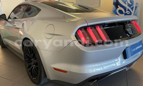 Buy Used Ford Mustang Silver Car in Chipata in Zambia Buy Used Ford Mustang Silver Car in Chipata in Zambia